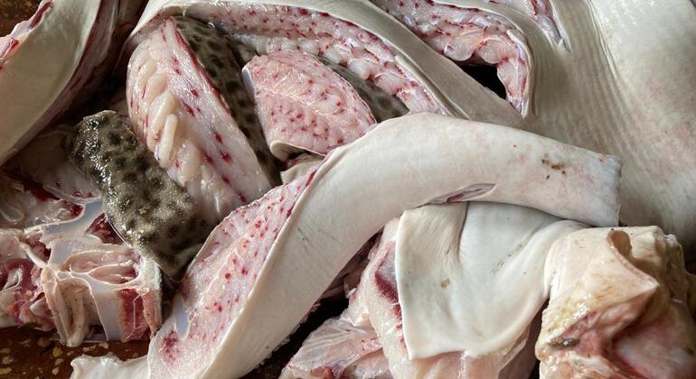 Cuisiner et manger la cuisine swahilie avec les habitants de Zanzibar  Tanzanie — #6