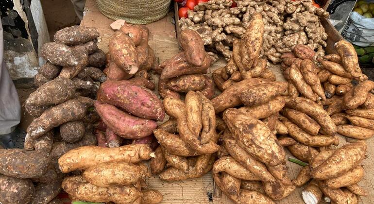 Cuisiner et manger la cuisine swahilie avec les habitants de Zanzibar  Tanzanie — #7