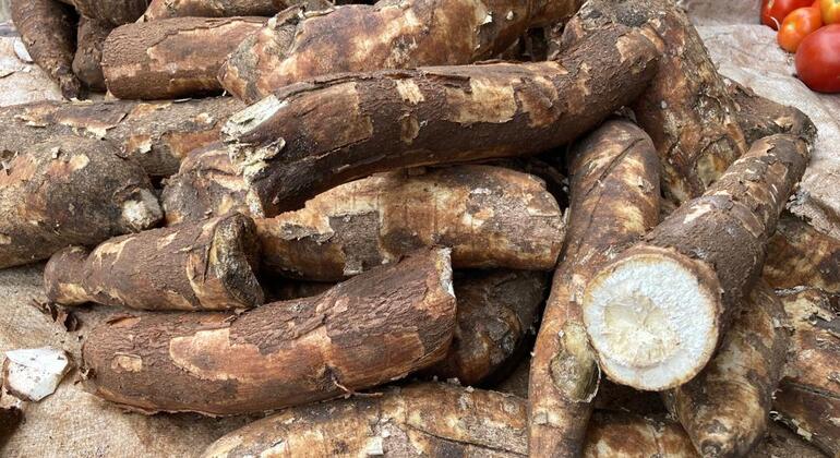 Cuisiner et manger la cuisine swahilie avec les habitants de Zanzibar  Tanzanie — #9