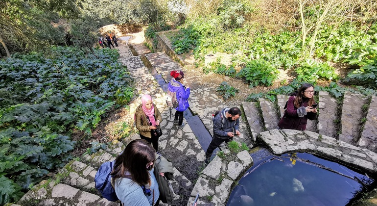 Ruta de Fotografía por la Naturaleza de la Barcelona - Free Tour España — #1