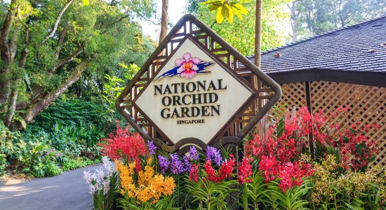Giardino nazionale delle orchidee - Ingresso Fornito da Prime Holidays