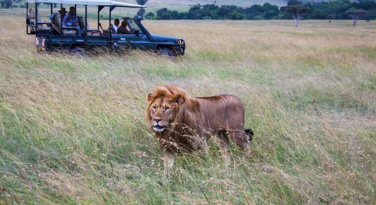 Discovering the Nairobi National Park Provided by African-Breeze-Safaris