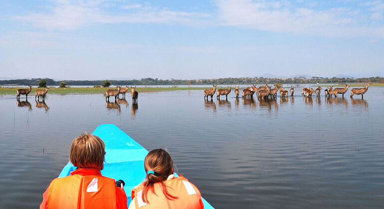 safari a pé de 2 dias na Crescent Island e passeio de barco em Naivasha, Kenya