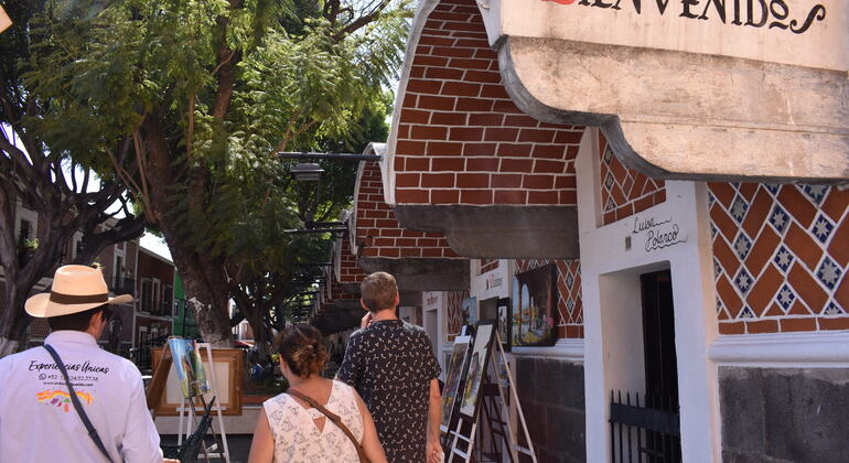 Group Excursion through Puebla's Historic Center