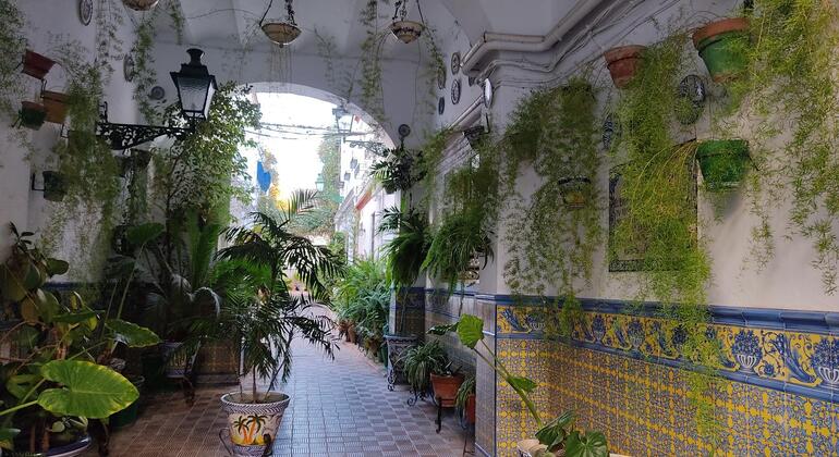 Free Tour Triana Completa: Corrales Incluidos España — #4