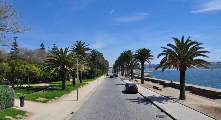 the-food-porto-tour-es-7