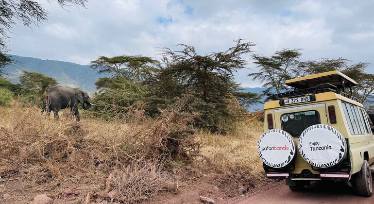 safari de 2 dias em Lodge na Tanzânia para Tarangire e Ngorongoro