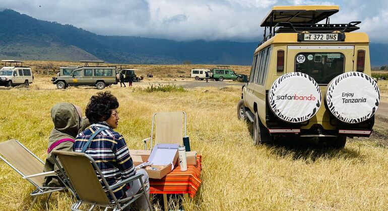 Excursão de um dia à Cratera de Ngorongoro a um preço acessível Organizado por SAFARIBANDO