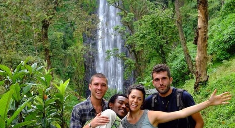 Materuni Waterfall & Coffee Tour Moshi Day Trip Provided by SAFARIBANDO