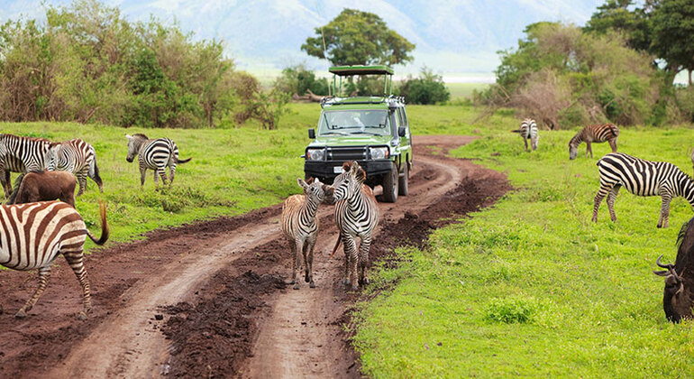 Erschwinglicher Tagesausflug in den Arusha-Nationalpark Bereitgestellt von SAFARIBANDO