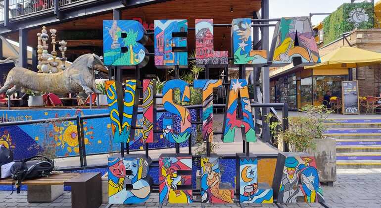 Visite libre de Santiago du Chili en bohème Chili — #2