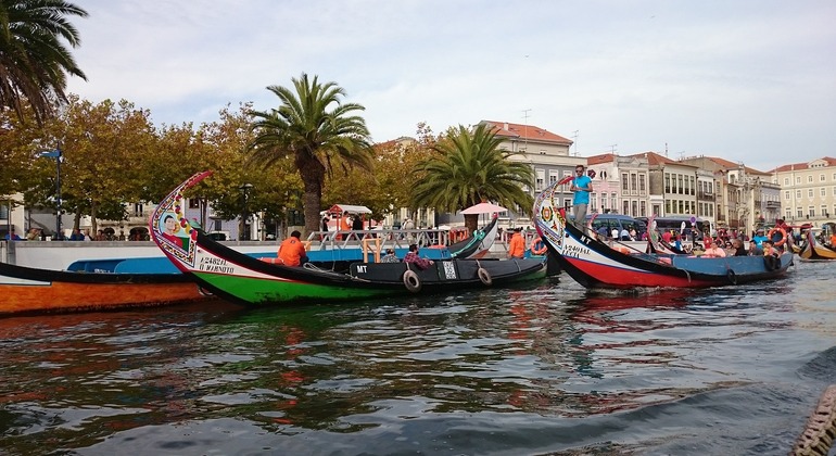 Rooutes by António: Aveiro Free Walking Tour Portugal &mdash; #3