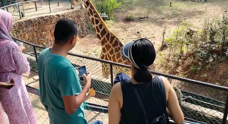 Passeio a pé pela cidade de Mombaça Organizado por ADVENTURE NAIROBI CITY WALKING TOURS.