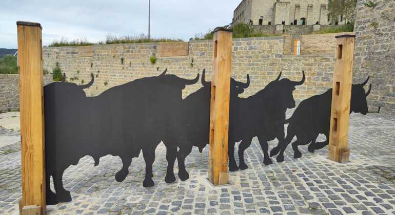 La course des taureaux de San Fermín - Freetour Fournie par TripNavarra Tours