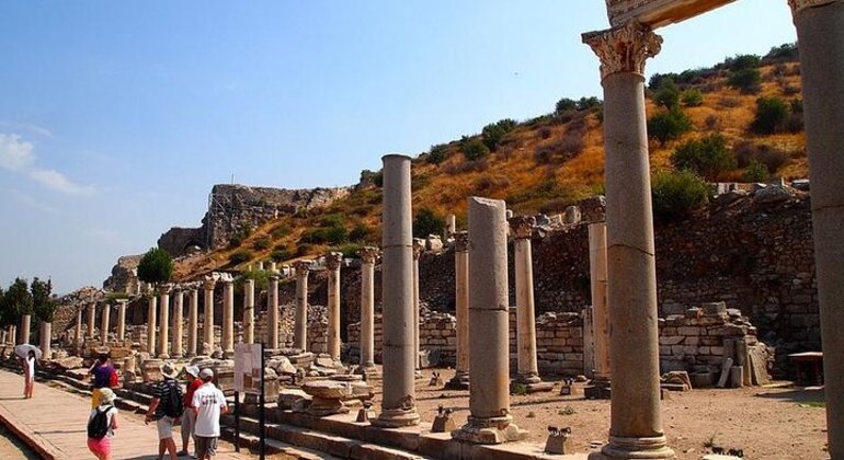 Private Tour: Ephesus From Izmir Port or Hotel Provided by Turkey Tours Company