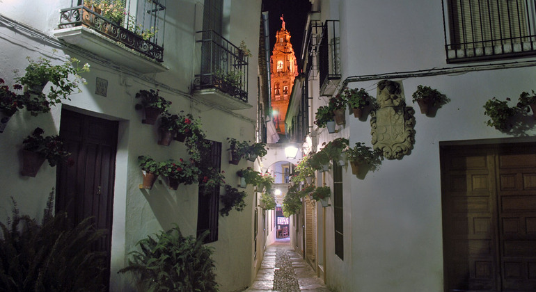 Córdoba Luminosa: il miglior tour gratuito notturno Spagna &mdash; #3