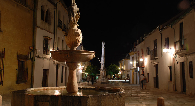 Córdoba Luminosa: il miglior tour gratuito notturno Spagna &mdash; #4