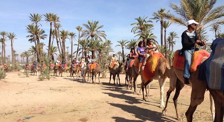Paseo en camello por la Palmeraie