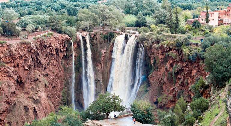 Day Trip to the Ouzoud Waterfalls from Marrakech Morocco — #4