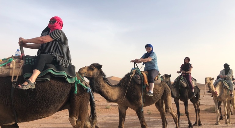 Kamelritt in Agafay Bereitgestellt von AnnoQri Tours