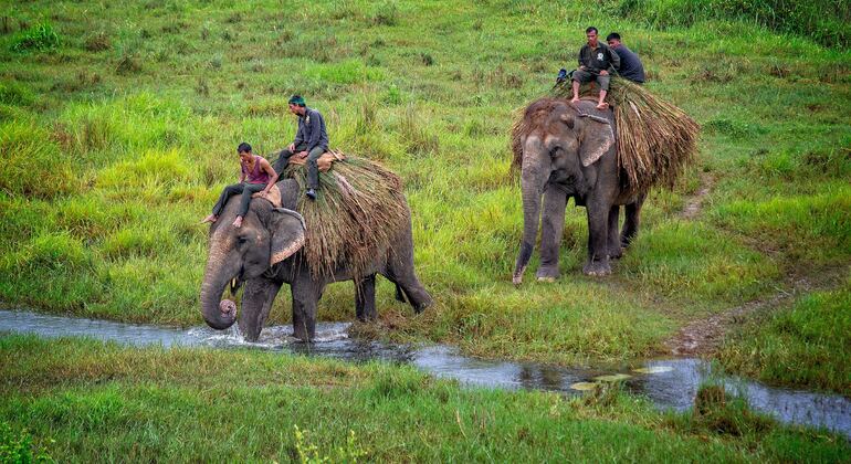 Triângulo Dourado (Catmandu, Pokhara e Chitwan) Circuito do Nepal