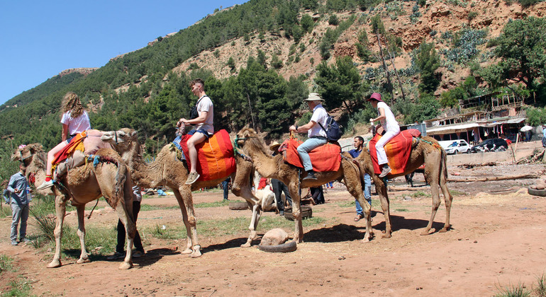 Au départ de Marrakech : Excursion d'une journée dans les montagnes de l'Atlas et les villages berbères Fournie par Elhoussain boummi