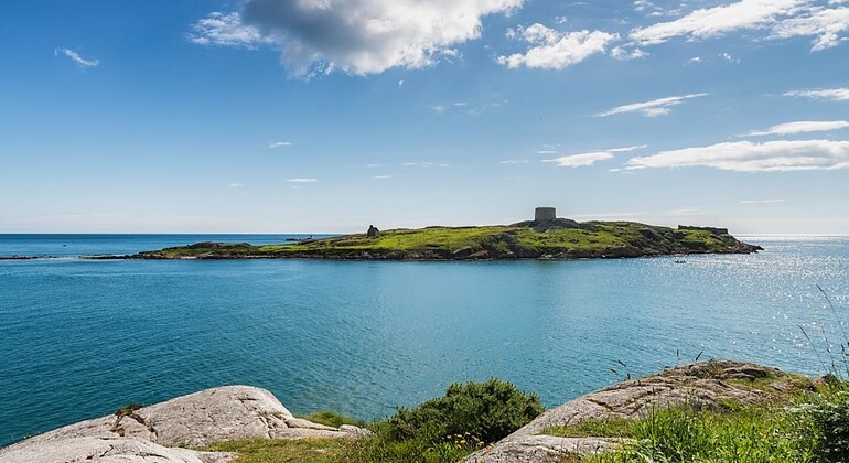 dublin-free-tour-wellness-walk-sea-swim-yoga-forest-bathing-en-2