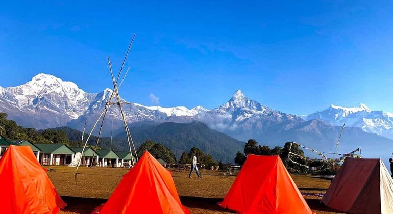 Caminhada no acampamento australiano