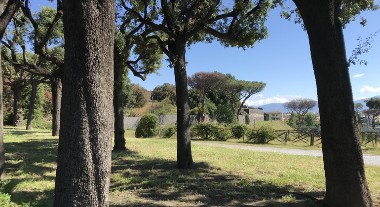 exploring-pompeii-its-ruins-es-1