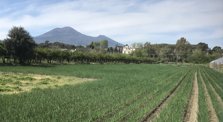 exploring-pompeii-its-ruins-es-2
