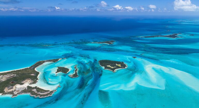 Crociera di un giorno a Bimini con trasporto gratuito di andata e ritorno da Miami, USA