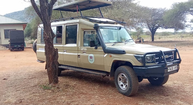 One Day trip to Lake Manyara National Park