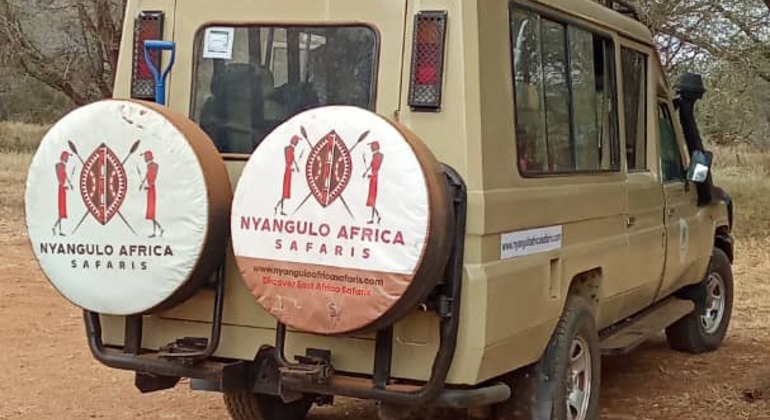 one-day-trip-to-lake-manyara-national-park-es-1