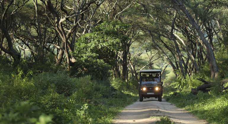 one-day-trip-to-lake-manyara-national-park-es-2