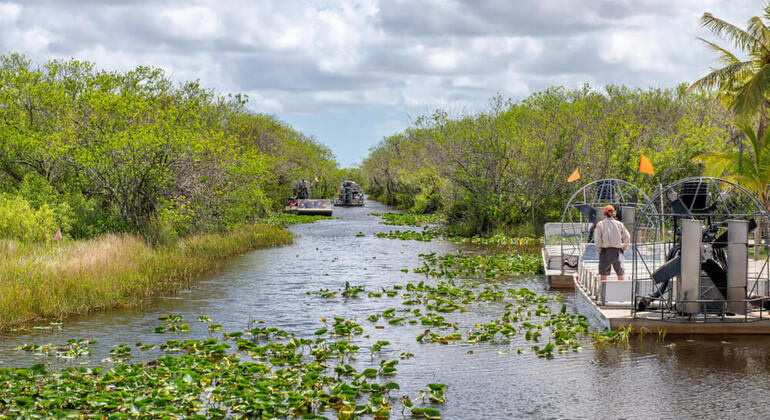 Excursiones y transporte en hidrodeslizador por los Everglades