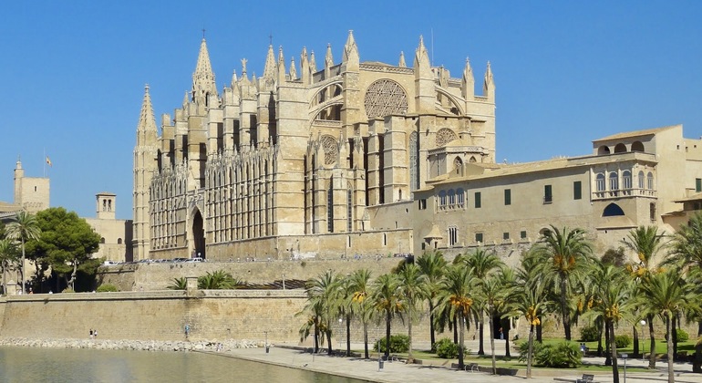 Visite guidée de la cathédrale de Majorque