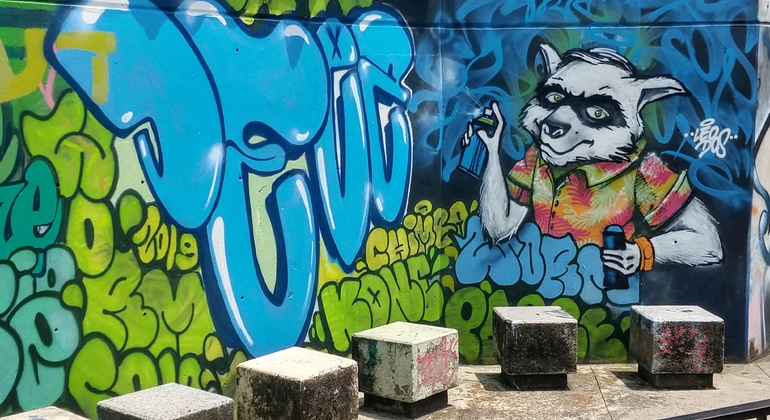 Kostenlose Tour Comuna 13 Medellín (Graffiti-Tour) Kolumbien — #7