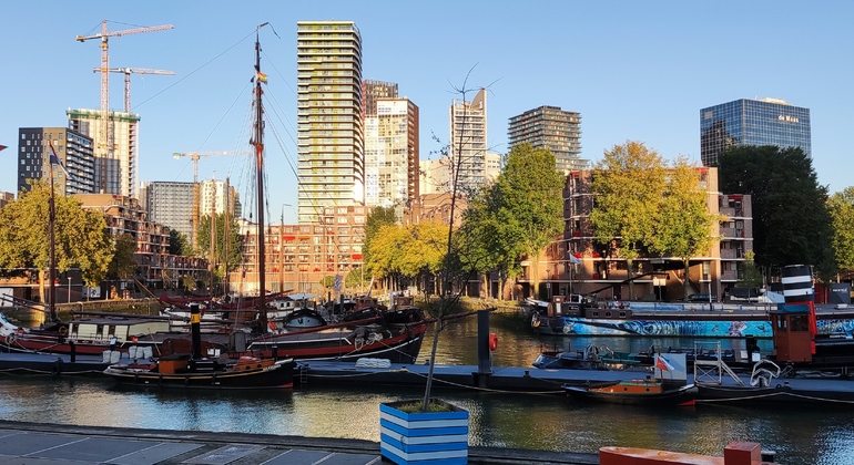 Rotterdam Bilingual City Tour in German & English Provided by Jessica