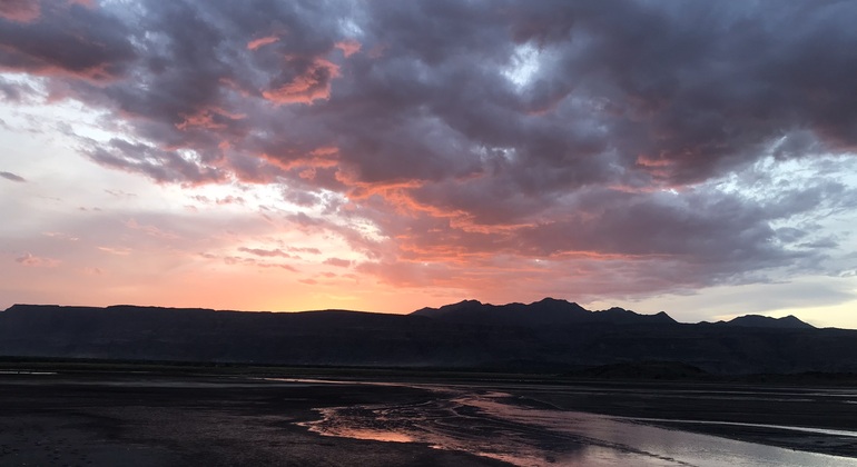 Visita Libera di Arusha Tanzania — #3