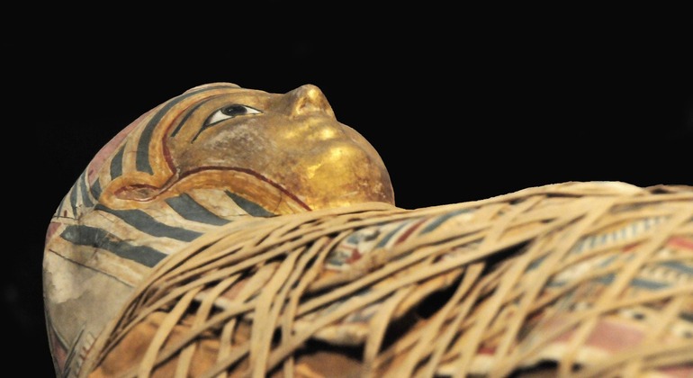 Private Half-Day Trip - Visit Luxor & Mummification Museums Provided by Emo Tours Egypt