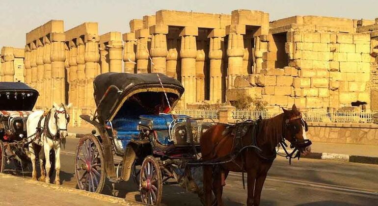 Viagem privada em carruagem de cavalos em Luxor Organizado por Emo Tours Egypt