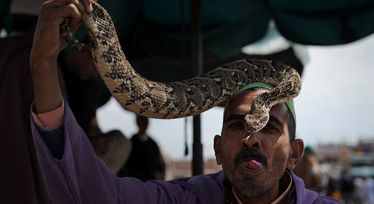 majestic-marrakech-a-historic-journey-through-time-en-4