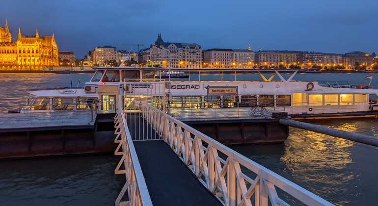 Crociera notturna sul Danubio