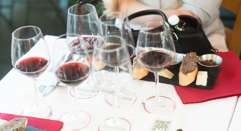 tour-of-pisa-and-wine-tasting-es-4