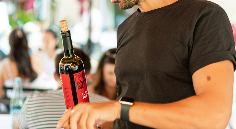 tour-of-pisa-and-wine-tasting-es-5