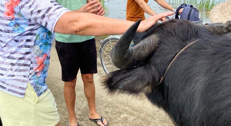 Cycling, Buffalo & Basket Boat Tour in Hoi An Vietnam — #5