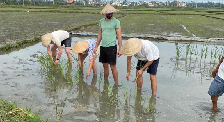 Cycling, Buffalo & Basket Boat Tour in Hoi An Vietnam — #7