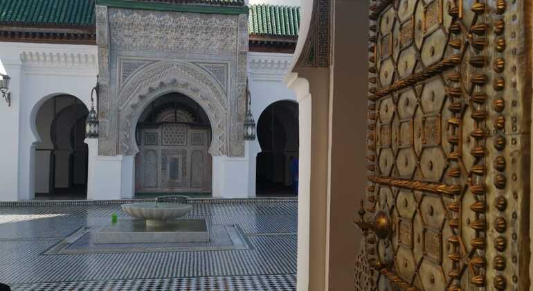 Tour from the Biggest Labyrinth in the World: Fes, Morocco