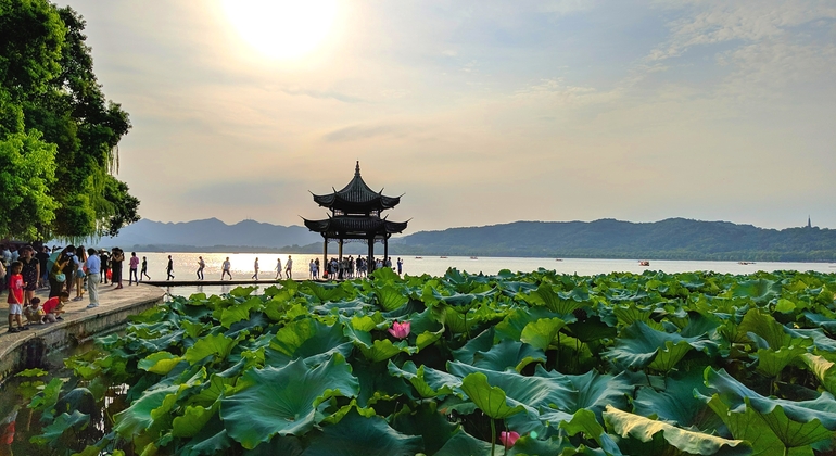 All-Inclusive Day Tour to Hangzhou by Bullet Train Provided by Bill