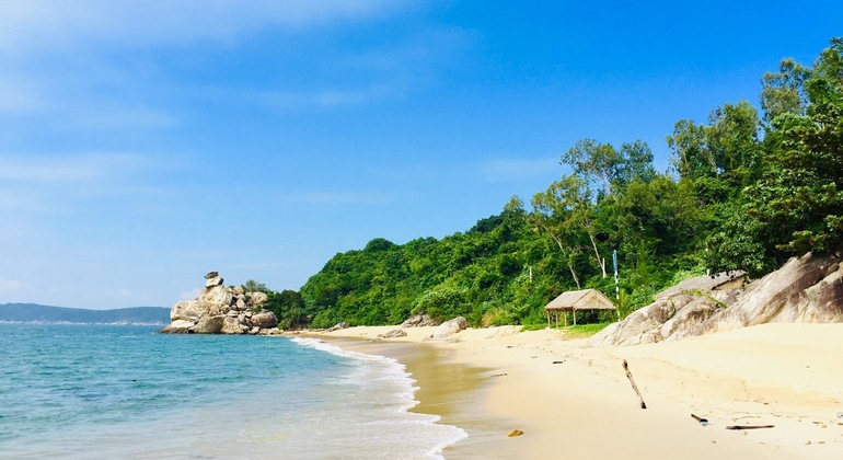 Discovery Cham Island by Speed Boat Vietnam — #4